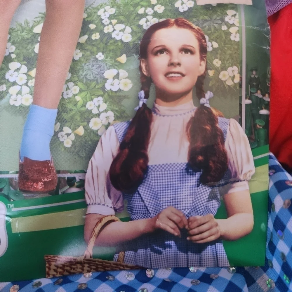 NWT Dorothy Wizard of OZ Halloween Costume Cosplay Child's Small 3-4 Years New